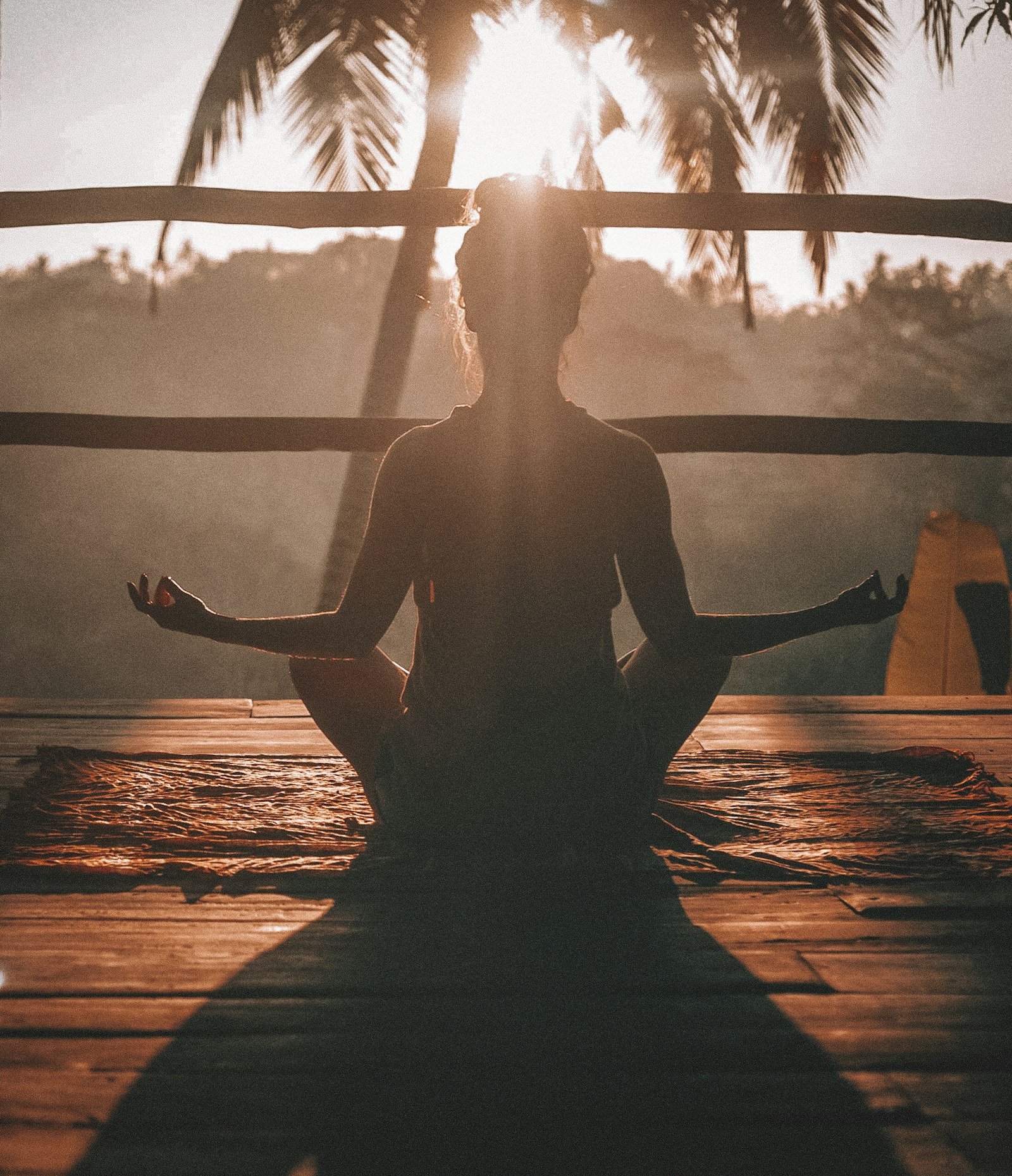 Yoga Diplomacy: How India Exports Wellness to the World