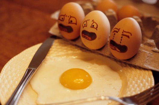Study : Eating The Whole Egg As Dangerous As Smoking?