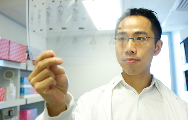 Dr Paul Lee examining a PET (Positron Emission Tomography) scan, showing deposits of brown fat around the necks of some patients