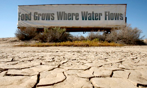 California says goodbye to green lawns