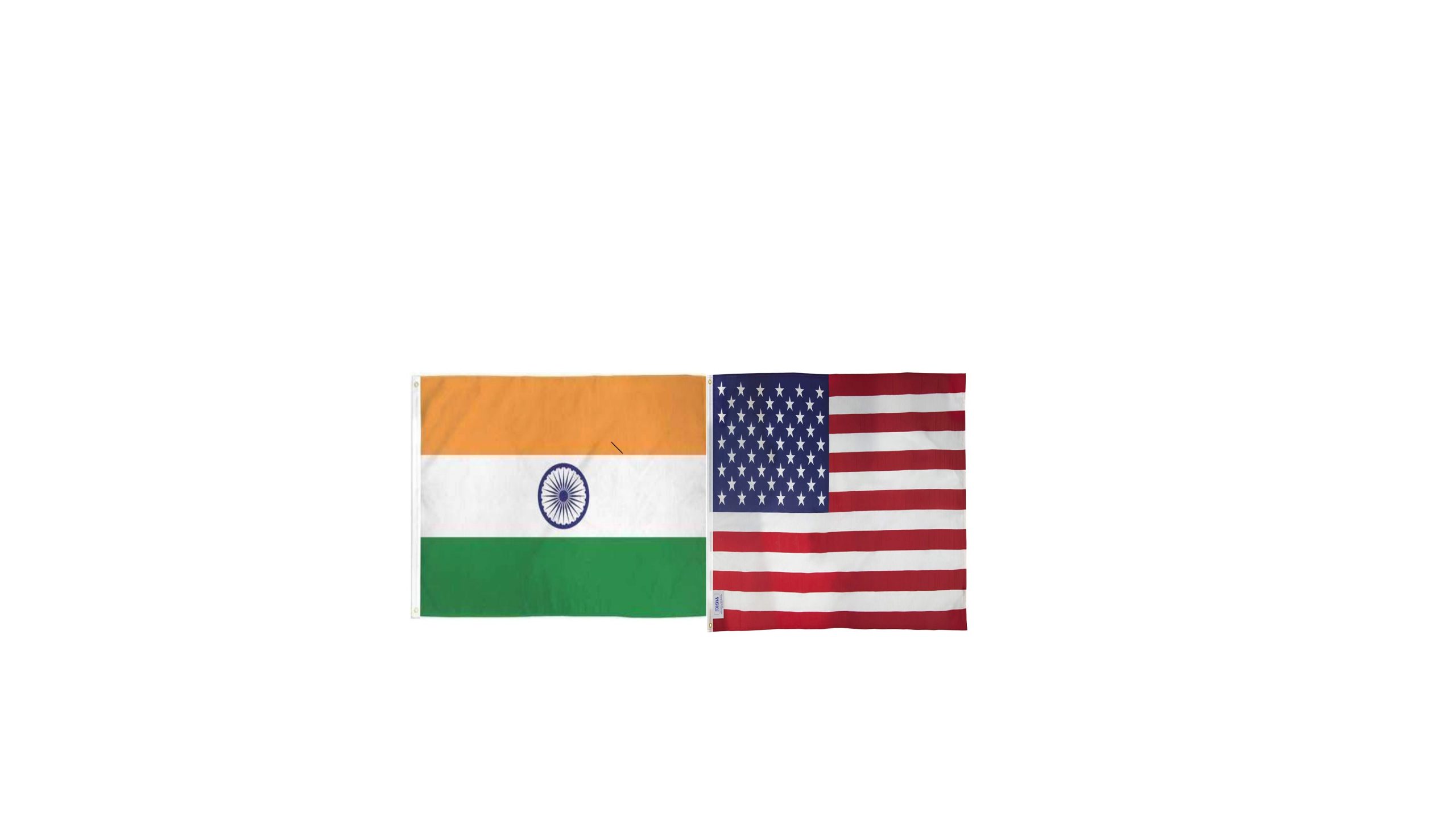 What makes Indian Americans different?